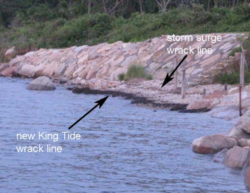 photo shows a new wrack line for the 2013 King Tide