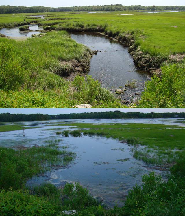 Back River Pocasset, Bourne Back River Pocasset, Bourne